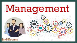 management management